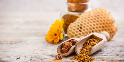 Миниатюра к статье Перга – уникальные свойства пчелиного хлеба для нашего здоровья