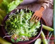 Миниатюра к статье Витаминный салат с капустой и огурцом - подробный рецепт с фото
