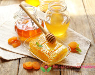 Миниатюра к статье Калина с медом от кашля - простой и эффективный рецепт фитотерапии