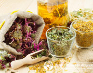 Миниатюра к статье Какие травы помогают при цистите - эффективные рецепты фитотерапии