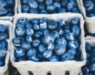 Миниатюра к статье Черника обыкновенная  - полезные свойства ягоды и применение в медицине