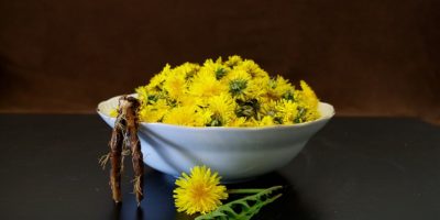 Миниатюра к статье Цветки одуванчика — полезные свойства и рецепты применения
