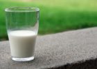 Миниатюра к статье Целебное козье молоко – раскрываем все секреты вкусного напитка