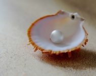 Миниатюра к статье Жемчуг - целебные свойства драгоценного камня из морской ракушки
