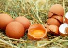 Миниатюра к статье Невероятные свойства яичной скорлупы для здоровья человека — рецепты применения