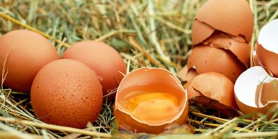 Миниатюра к статье Невероятные свойства яичной скорлупы для здоровья человека — рецепты применения