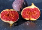Миниатюра к статье Инжир — полезные свойства и секреты применения вкусных плодов