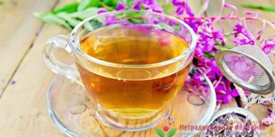 Миниатюра к статье Целебный иван-чай — как правильно заготавливать, заваривать и пить?