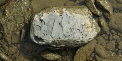 Миниатюра к статье Шунгит – уникальный оздоравливающий камень из водных глубин